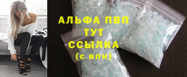 гидра Кизел