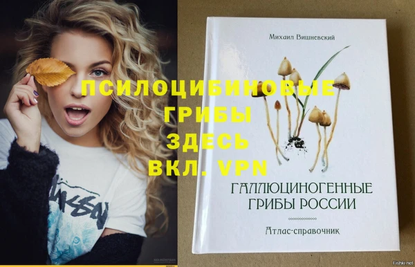 крисы Лихославль