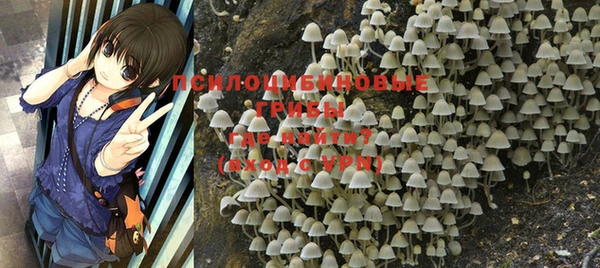 круглые Липки