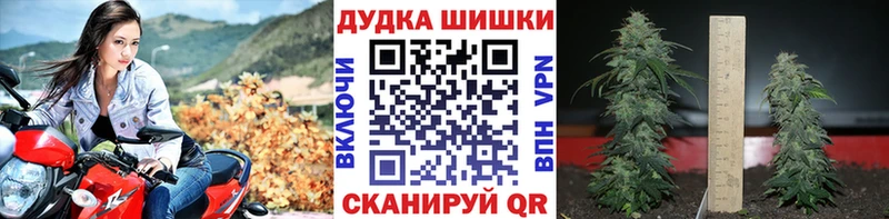 Марихуана SATIVA & INDICA  сколько стоит  гидра   Никольск 